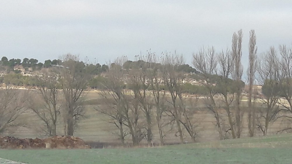 fotos-subidas/211_15_WhatsApp Image 2019-01-13 at 21.27.17.jpg